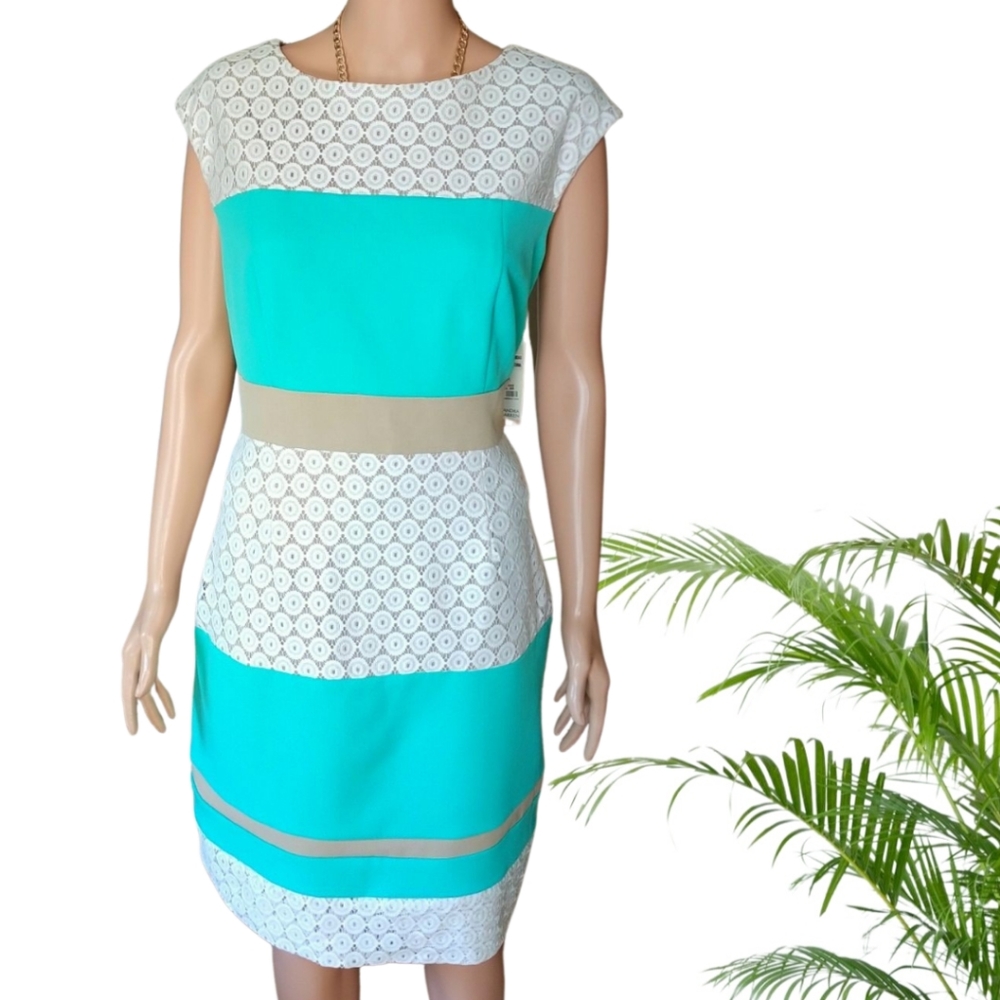 Sandra Darren Sleeveless Colorblocked Lace Sheath Dress Size 12